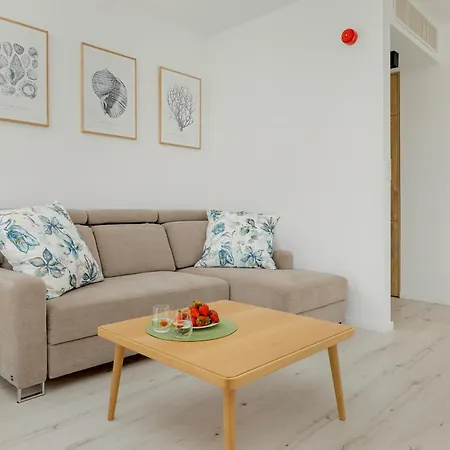 Shellter Seaside - Na Wydmie *