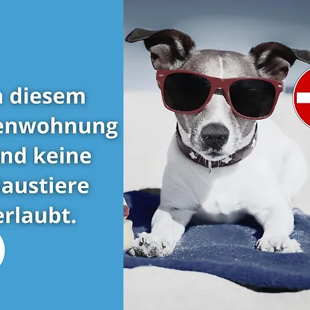 Shellter Seaside - Na Wydmie *