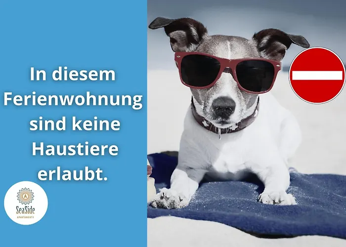 Shellter Seaside - Na Wydmie *